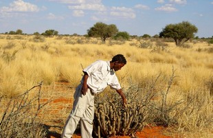 051 Namibia Okt 2006 .JPG